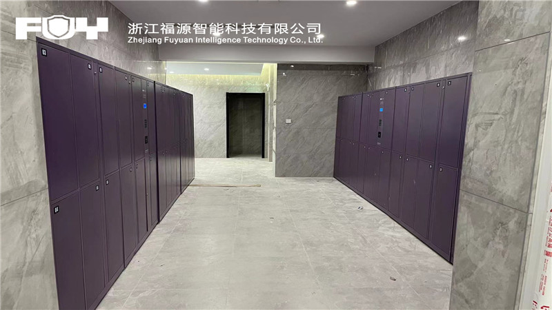 智能更衣柜 智能更衣柜