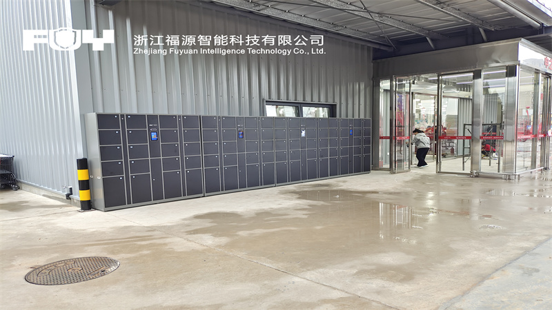 1733712023967720.jpg 洛陽大張郁金香店2.jpg